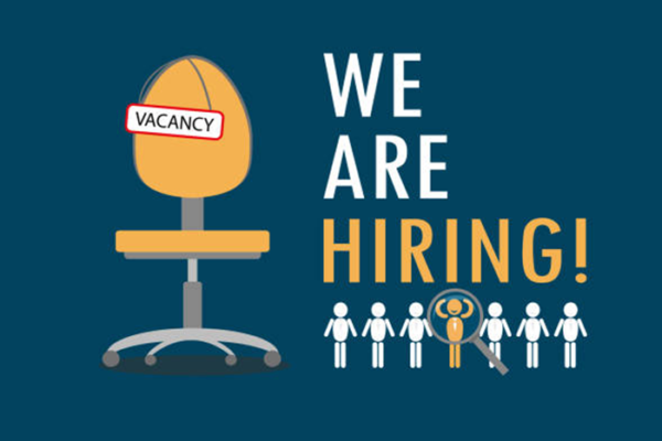 Project Assistant Jobs Vacancies in Delhi India