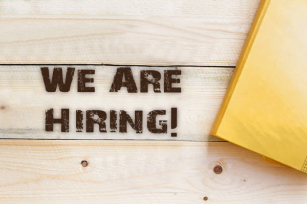 Engineering Job Vacancies in India at Wapcos Limited Chandigarh