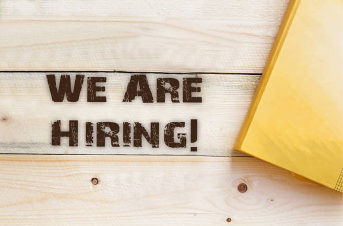 Engineering Job Vacancies in India at Wapcos Limited Chandigarh