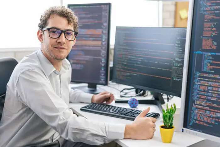 Web Database Application Developer Job