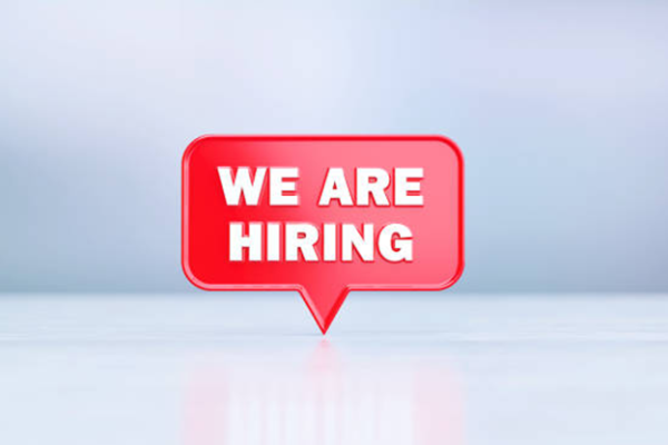 Census Mapping Cartography Consultant Job Vacancy