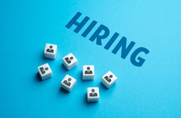 Techno Brain Presales Consultant – Bid Management Job Vacancy