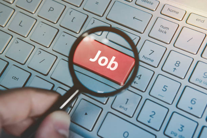 Pastoralism Programme Manager Job Vacancy