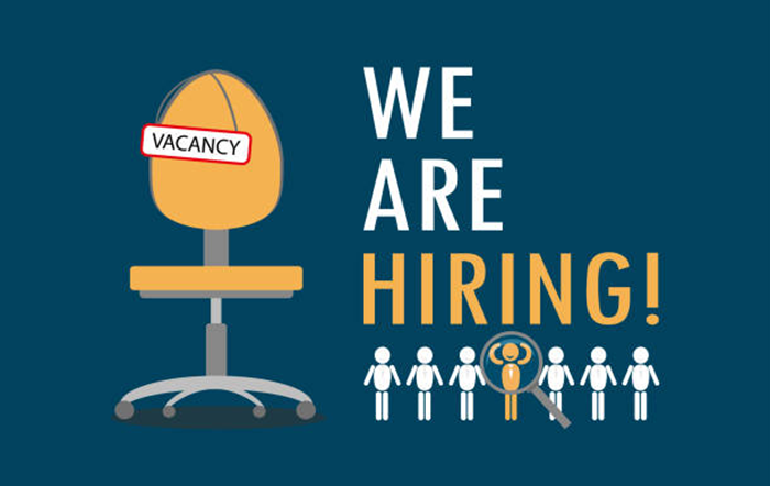 Systems Engineer