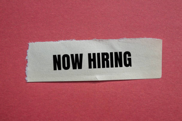 Director of Human Resources Job Vacancy