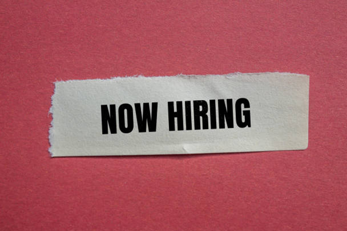 Director of Human Resources Job Vacancy