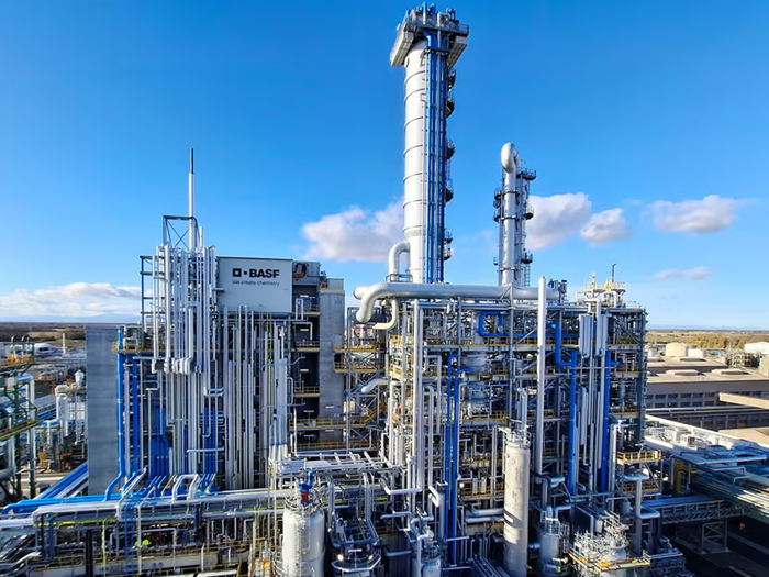 Basf Angola Produtos