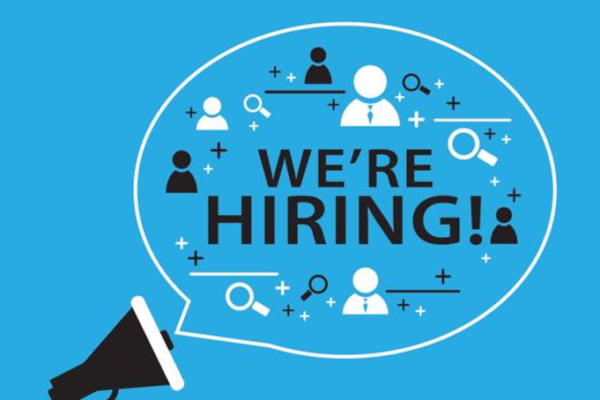 Junior Research Fellow Jobs Vacancies