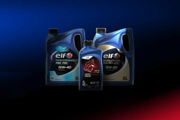 Elf Oil Cameroon SA