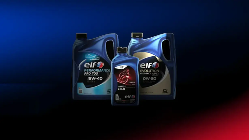 Elf Oil Cameroon SA