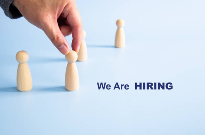 Deloitte Human Capital Management Job Vacancy in Nigeria 1 Deloitte