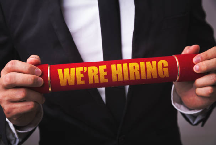Risk Management Consultant Job Vacancy in Nigeria at Deloitte 1 Risk