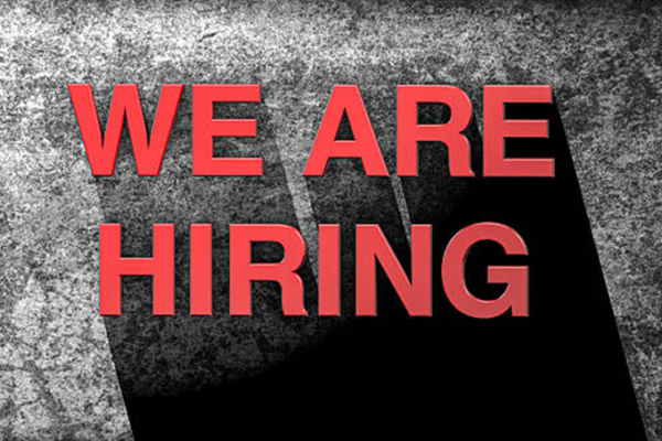 Advisor & Project Director Jobs Vacancies in Delhi India