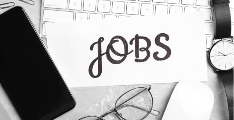 Director Job Vacancy in Shillong India – North Eastern Council Secretariat 1 Director