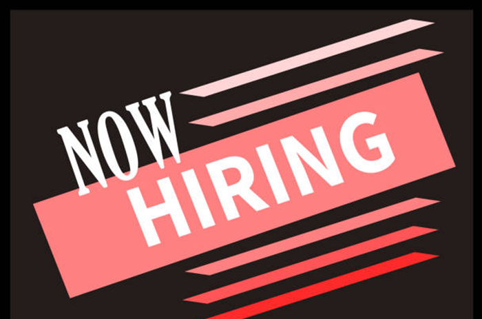 Cash Book and Fixed Asset Accountant Job Vacancy in Kenya (Re – advertisement) 1 Cash Book