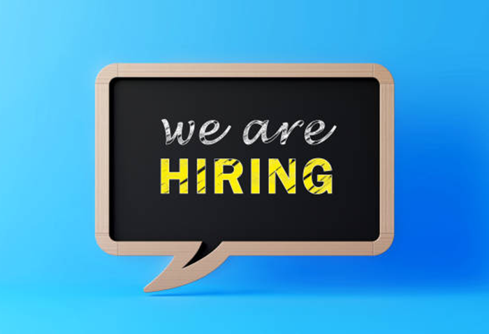 Sales Executive