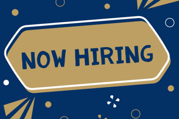 Technical Advisor