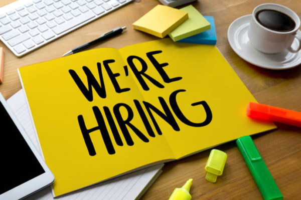 Business Analyst