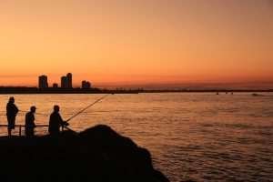 Gold coast, Fishing, Sunset image.