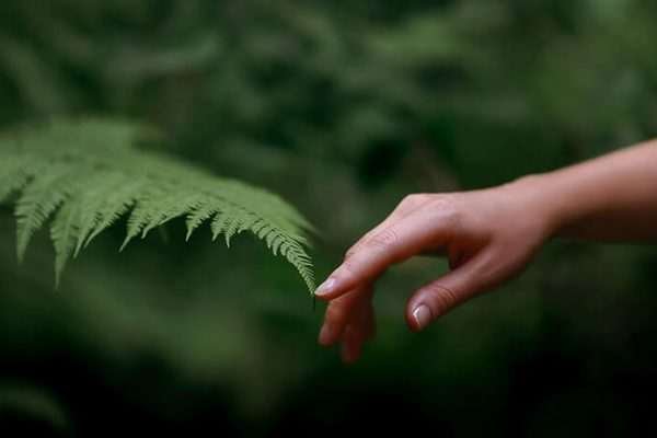 Exploring Sustainable Living Practices