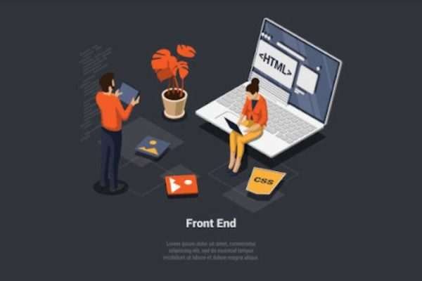 web designer tampa