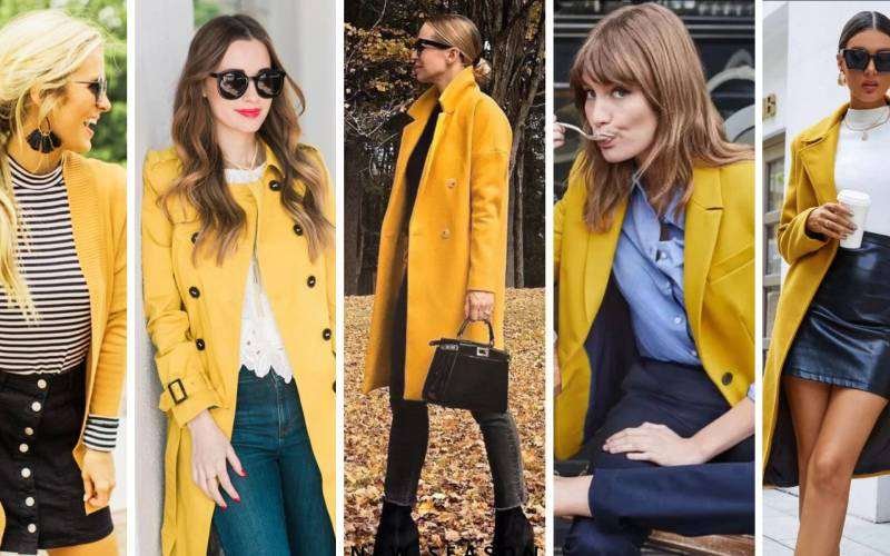 disc personality test 