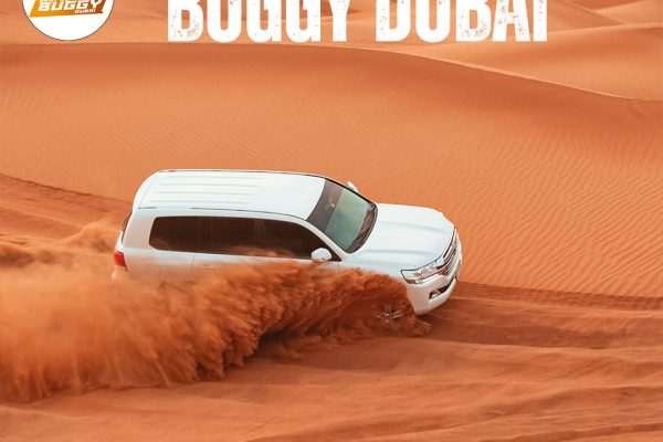 Best Desert Safari Dubai