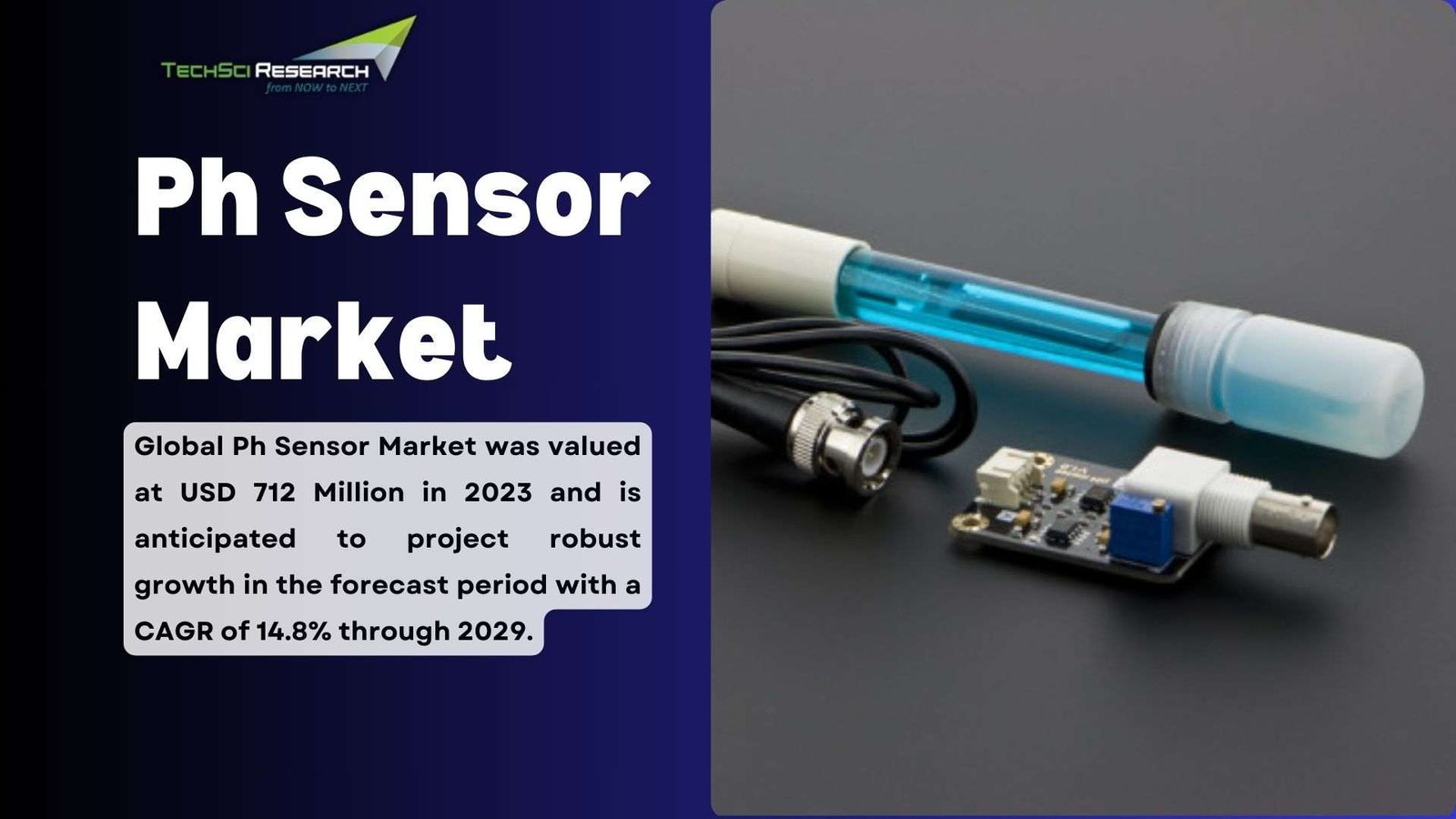 pH Sensor Market Growth Analysis Assessing Industry Trends and