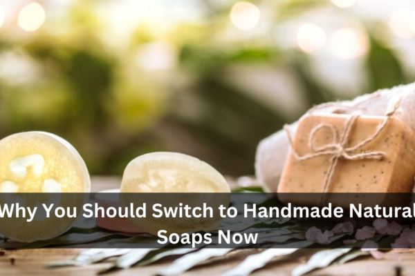 Why You Should Switch to Handmade Natural Soaps Now?