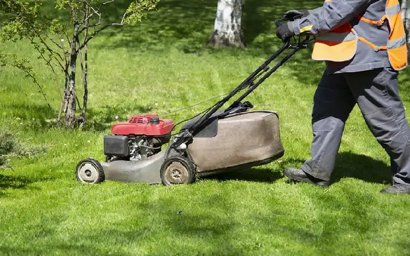 Tree Service