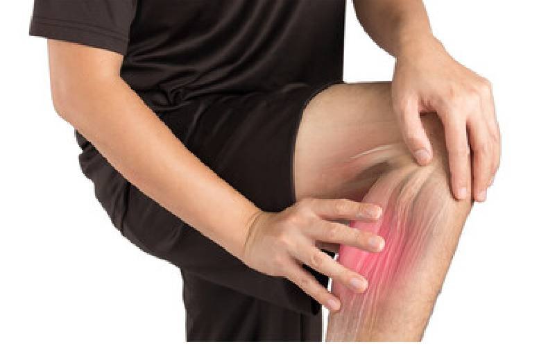 
gastrocnemius muscle
