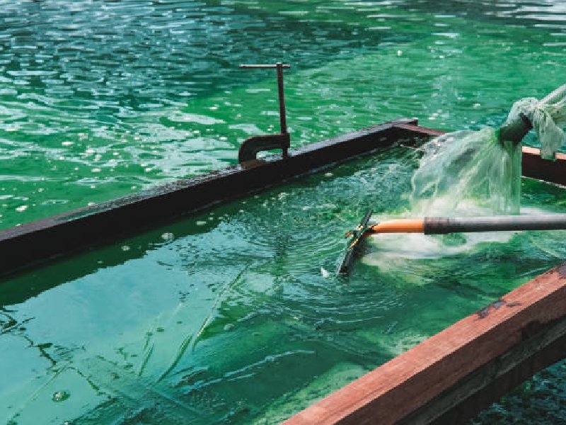 Spirulina Farming Equipment