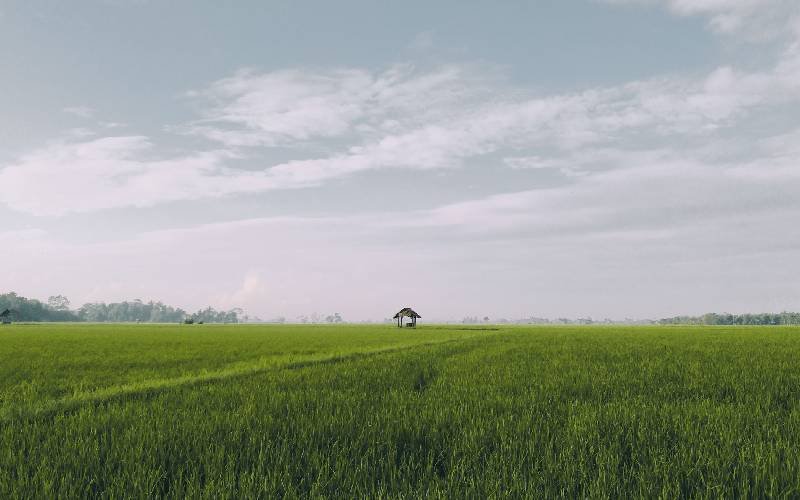 sell land for cash