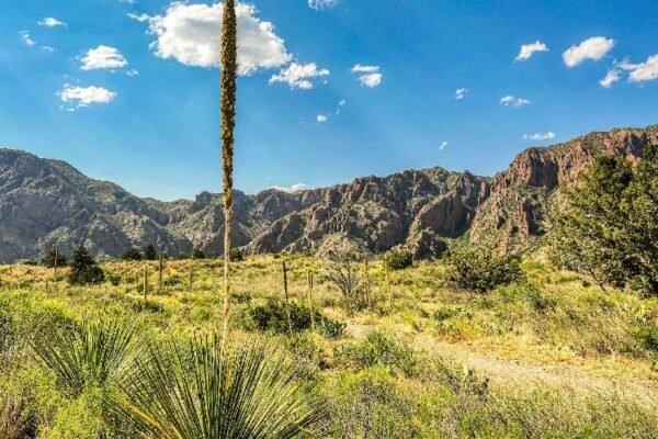 sell land for cash
