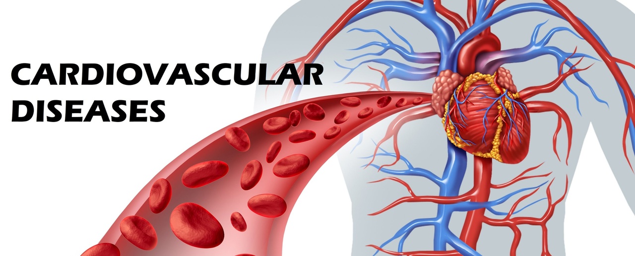 Cardiovascular Health