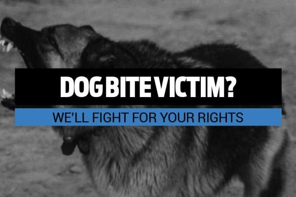 Lawyers for Dog Bite Cases; Fighting for Victims of Dog Bites