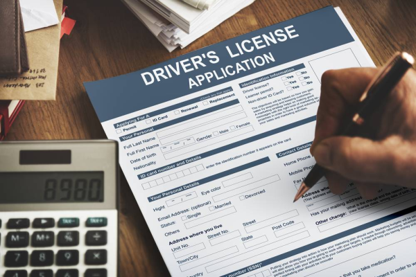 driving licence status