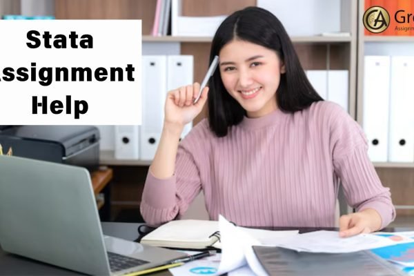 Stata Assignment Help