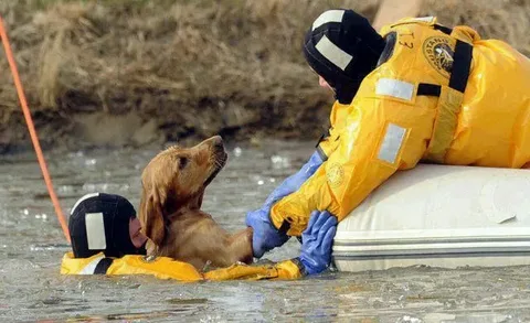 A Lifeline for Wild with Exotic Animal Rescue in Omaha, NE