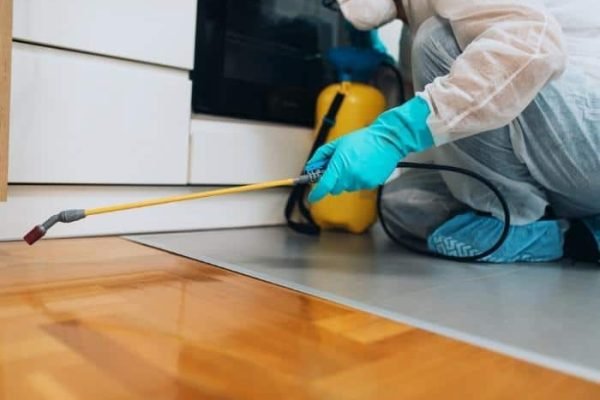 Top-Rated Pest Control in Singapore: Keeping Your Home Safe from Infestations best pest control Singapore