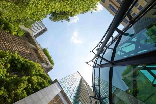 Why Is Sustainability Important in Building Construction? A shot of a green building showcasing the importance of BREEAM certification
