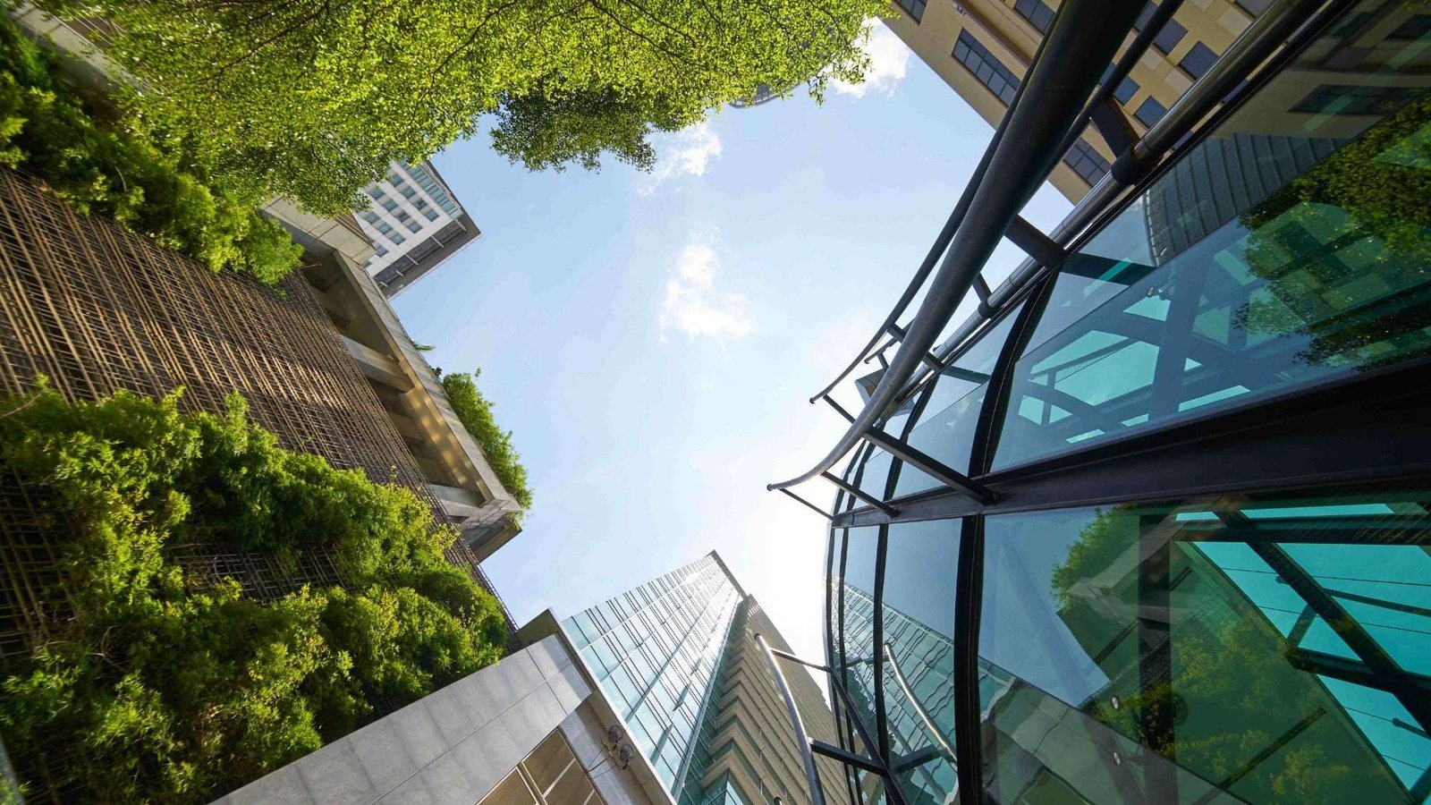 A shot of a green building showcasing the importance of BREEAM certification