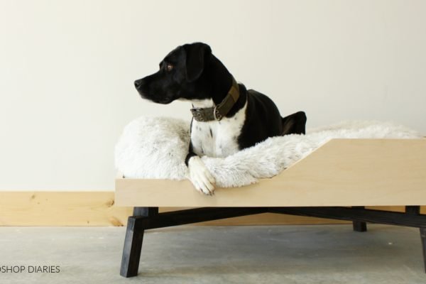 Elevated Pet Bed