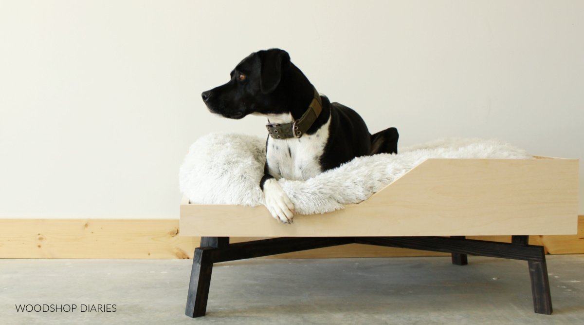 Elevated Pet Bed