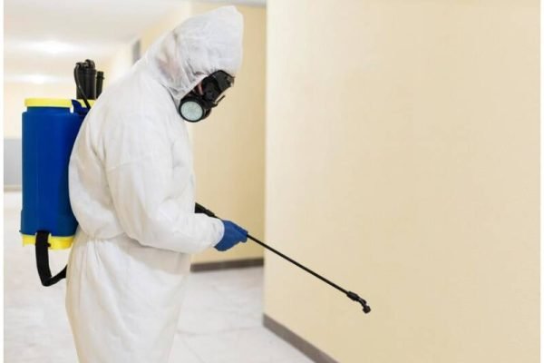 cockroach exterminator in Toronto