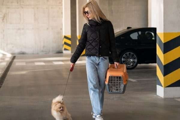 Say Goodbye to Generic Pet Gear: Edgy Accessories for Modern Dogs