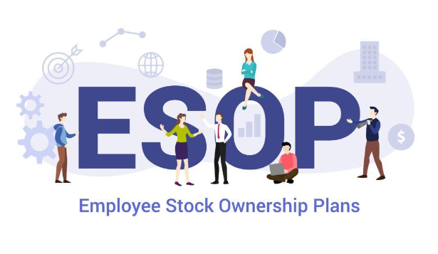 Employee stock ownership