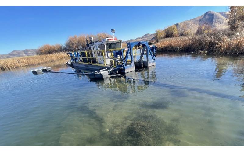 auger dredge