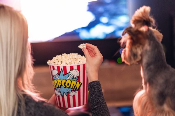 Why Static IPTV Is the Leader in 4K Live IPTV Services