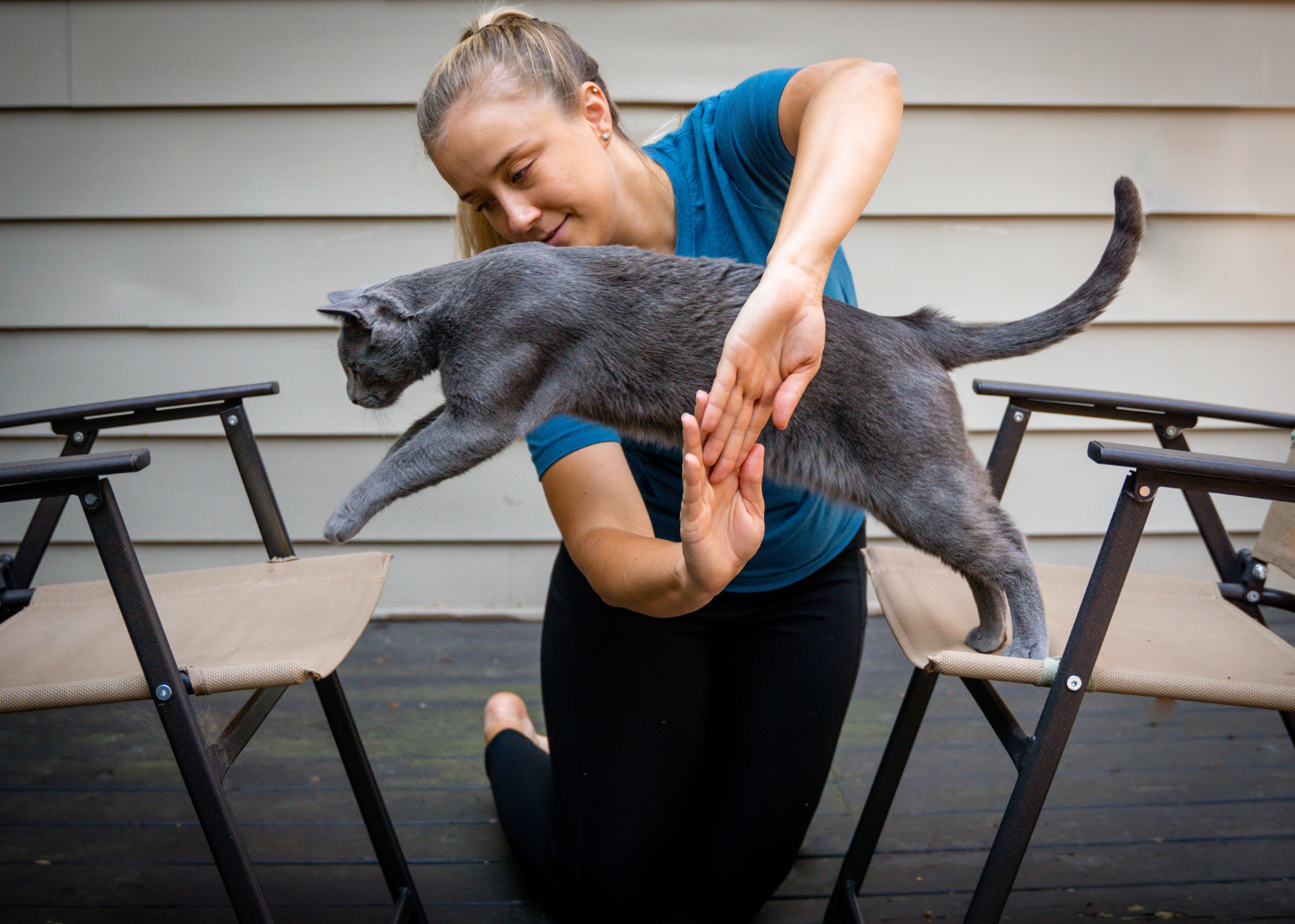 Cat Training